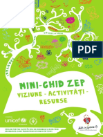 Mini Ghid ZEP Viziune Activitati Resurse PDF