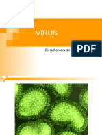 virus.ppt