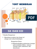 Transport Membran