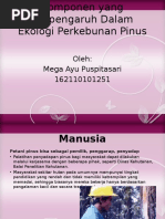 Download Pinus by pucpita SN327329211 doc pdf