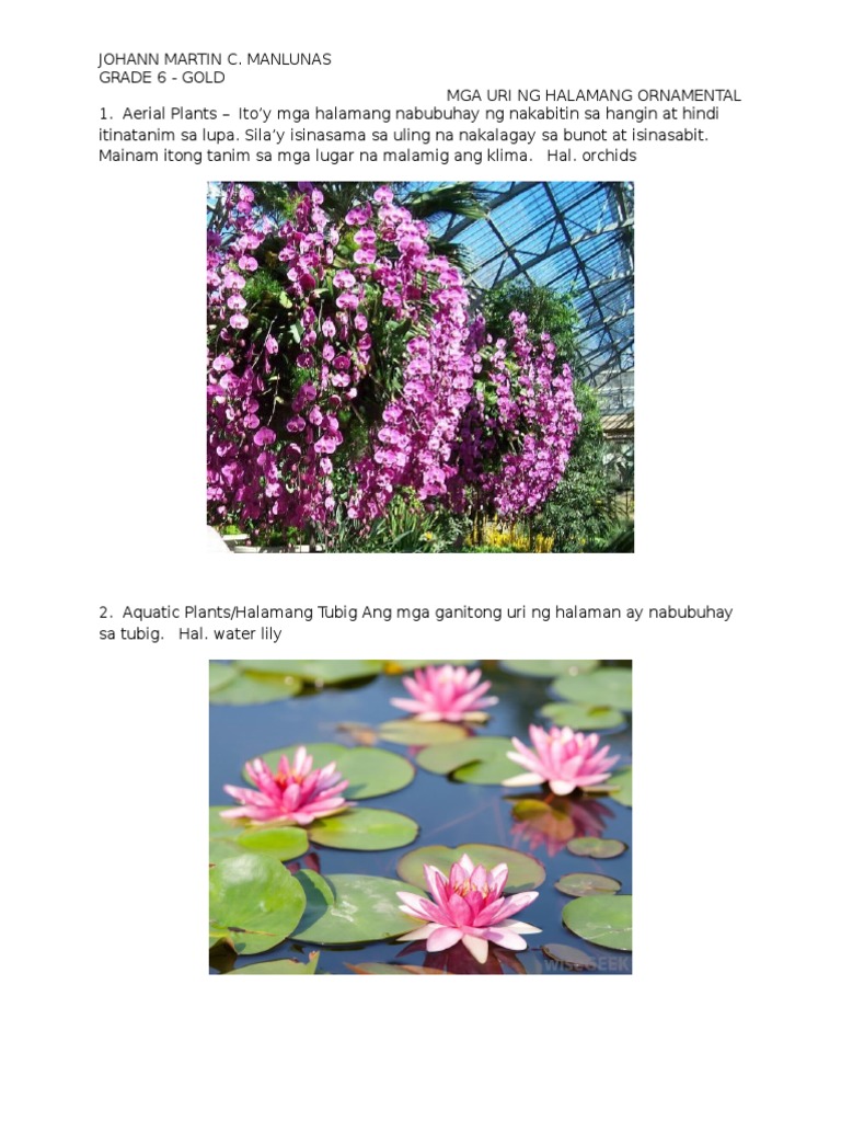 Mga Uri NG Halamang Ornamental PDF