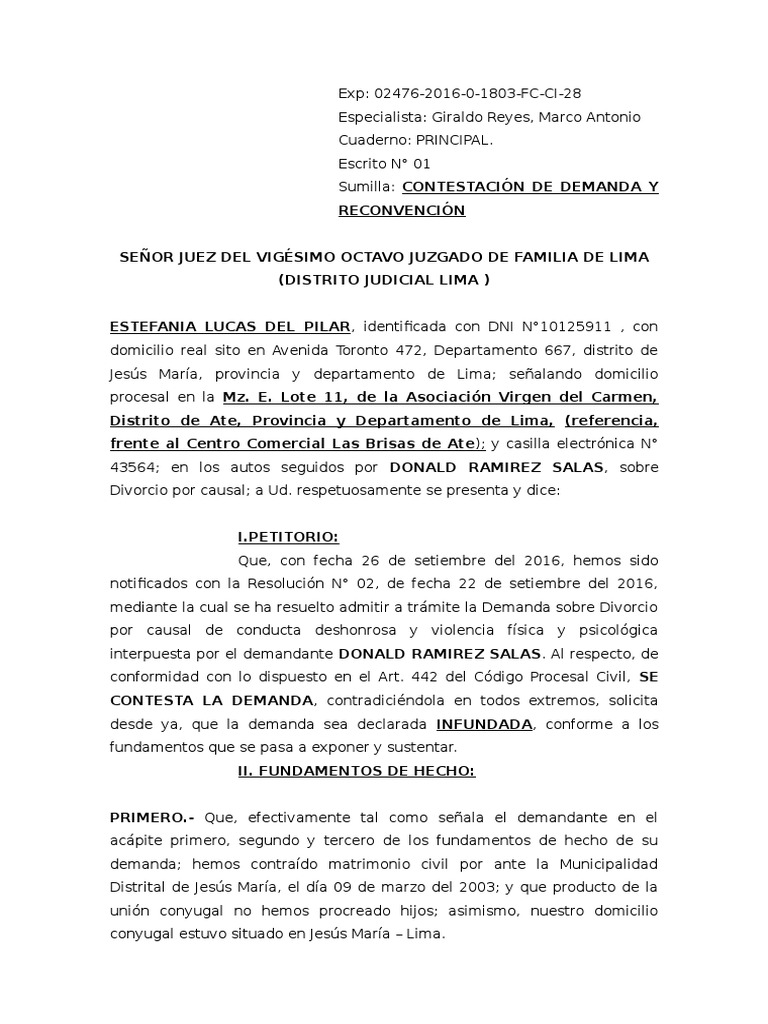 Modelo De Demanda De Divorcio Colombia