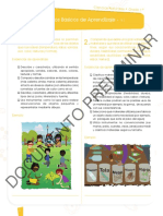 DBA CCNN 1°-6° (Preliminar) PDF
