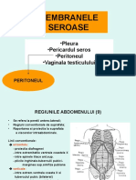 Anatomie Curs Peritoneu