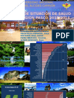 Analisis Situacional de Salud .Pasco