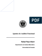 Analisis_Funcional_Paya.pdf