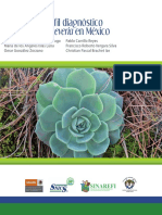 Echeveria Manual Del Perfil Diagnostico Del Genero Echeveria en Mexico