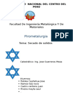 Informe Piro 1