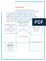 Ejemplos de Ejercicios Isométricos