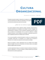 Culturaorganizacional.pdf