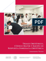 Triage Obstetrico 2016.pdf