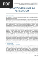 Psicopatologia de Percepcion