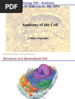 Bio239 Cell Organelles