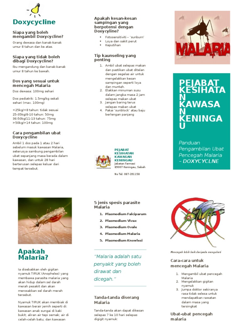 Malaria Pamphlet | PDF