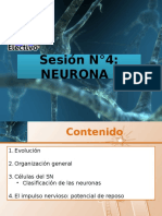 Neurona I 2016