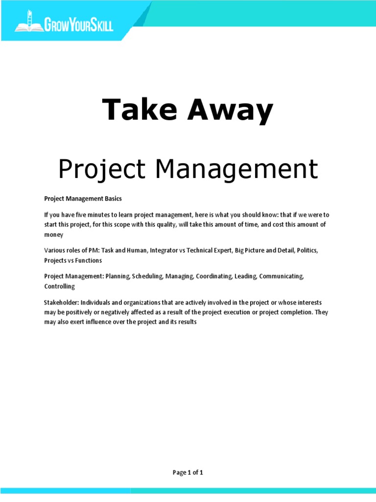 Project Management Essentials Explained | PDF