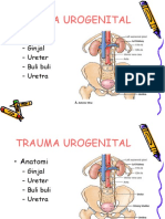 kuliah-trauma-urogenital.ppt