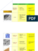 Cell Structure