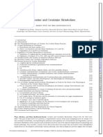 Creatine and Creatinine Mechanism.