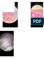 patologia imagenes en microscopio