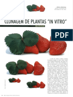 Clonagem de Plnatas in Vitro - Revista Biotecnologia PDF