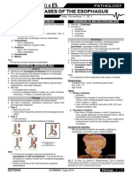 PATHO 4-3 Diseases of The Esophagus