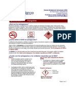 SCHC Ghs fs1 Pictograms - Es-Us-Final PDF