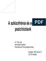 Fok Hun Szkizofrenia 2009 PDF
