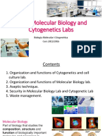 UD 1 Molecular Biology and Cytogenetics Labs