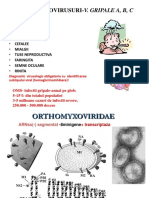 viroze respiratorii.pdf