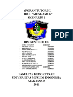 Laporan 1B Mengamuk