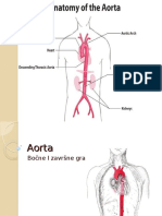 Aortaideo 131129141808 Phpapp02