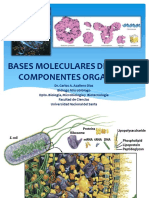 Carbohidratos y Lipidos