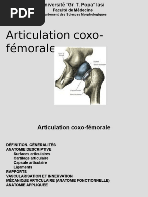 poupée articulée