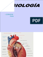 Corazon (Aorta)