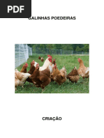 01-Criação.pdf