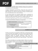 Fichas - Barbara.docx