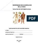 Guia de Practica de Anatomia 2013 2