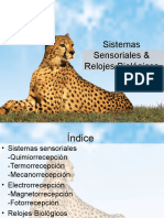 Sistemas Sensoriales y Relojes Biologicos