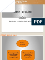 CASE Anemia Hemolitik