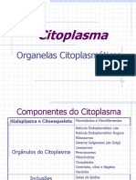 Cito Plasma