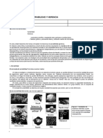 2º - Guía Estudio Variabilidad y Herencia