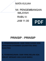 Kebijakan Pengembangan Wilayah Pak Rito