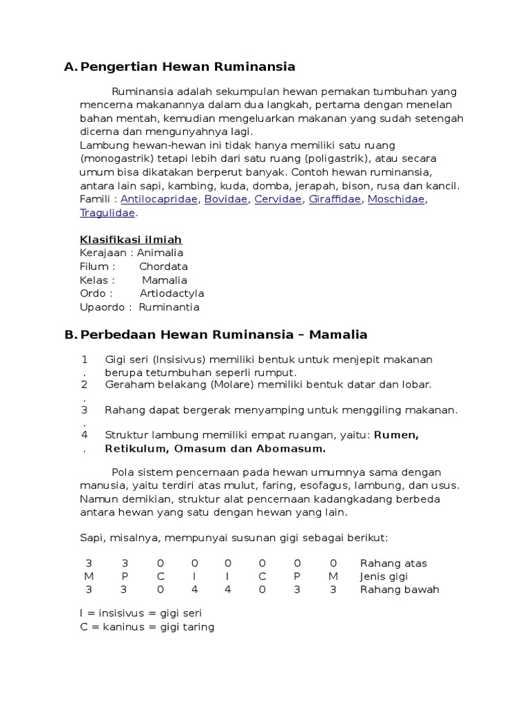56055882 Sistem Pencernaan Hewan Ruminansia Doc