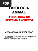 Fisio Excretor