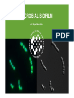 Microbial Biofilm Microbial Biofilm: Leiv Sigve Håvarstein