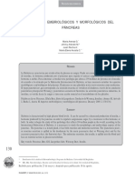 Dialnet-AspectosEmbriologicosYMorfologicosDelPancreas-4788209.pdf