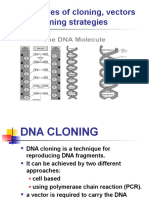 Cloning Introduction