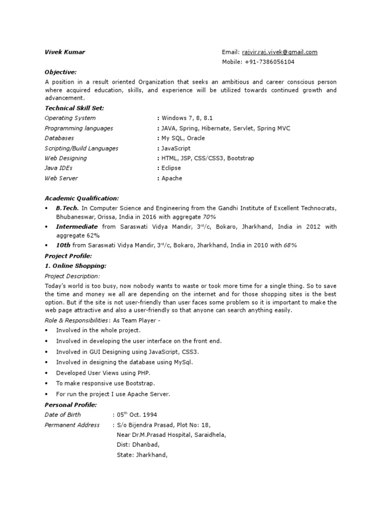 Vivek Kumar - Software Developer Resume | PDF