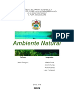 Ambiente Natural